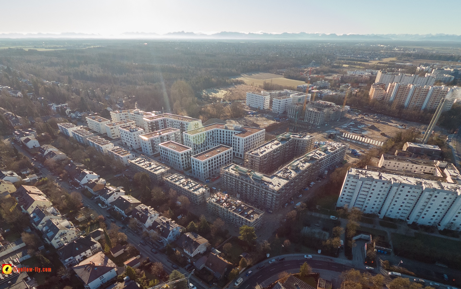 16.01.2023 - Alexisquartier und Pandion Verde 16.01.2023 - Alexisquartier und Pandion Verde